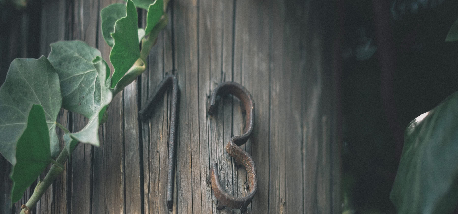 Tarot readings give insight and understanding inot your life.